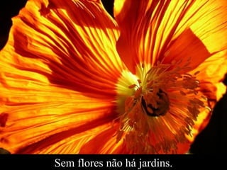 Sem flores não há jardins. 
