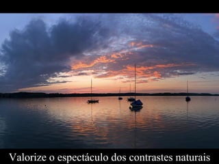 Valorize o espectáculo dos contrastes naturais 