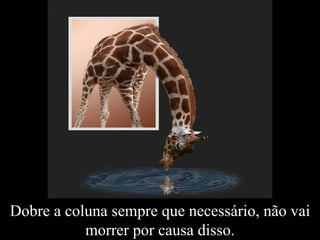 Dobre a coluna sempre que necessário, não vai morrer por causa disso. 