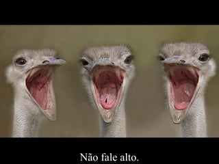 Não fale alto. 