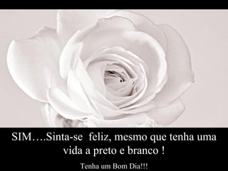 SIM….Sinta-se  feliz, mesmo que tenha uma vida a preto e branco ! Tenha um Bom Dia!!! 