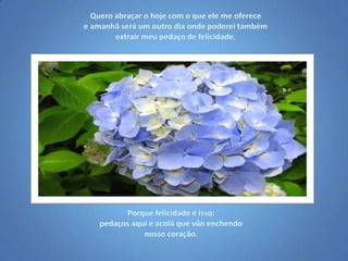 Quero abraçar o hoje com o que ele me oferece e amanhã será um outro dia onde poderei também extrair meu pedaço de felicidade.Porque felicidade é isso: pedaços aqui e acolá que vão enchendo nosso coração.