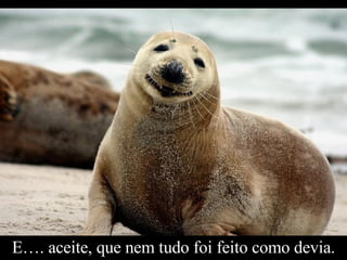 E…. aceite, que nem tudo foi feito como devia. 