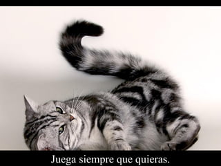 Juega siempre que quieras. 