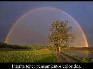 Intenta tener pensamientos coloridos. 