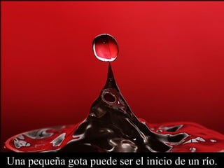 Una pequeña gota puede ser el inicio de un río. 