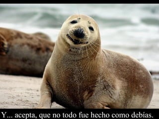 Y... acepta, que no todo fue hecho como debías. 