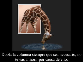 Dobla la columna siempre que sea necesario, no te vas a morir por causa de ello. 