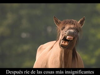Después ríe de las cosas más insignificantes 