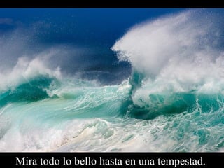 Mira todo lo bello hasta en una tempestad.  