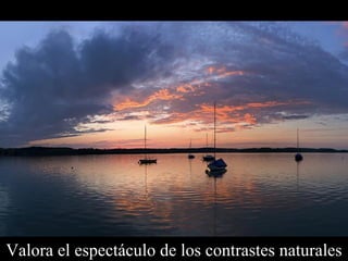 Valora el espectáculo de los contrastes naturales 