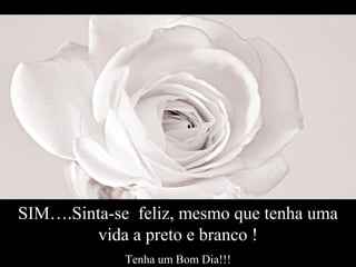 SIM….Sinta-se feliz, mesmo que tenha uma
vida a preto e branco !
Tenha um Bom Dia!!!
 