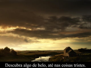 Descubra algo de belo, até nas coisas tristes.
 