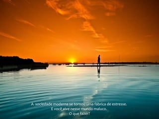 A sociedade moderna se tornou uma fábrica de estresse.
E você vive nesse mundo maluco.
O que fazer?
 