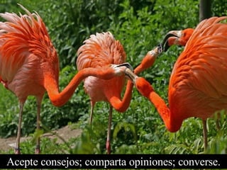 Acepte consejos; comparta opiniones; converse. 
