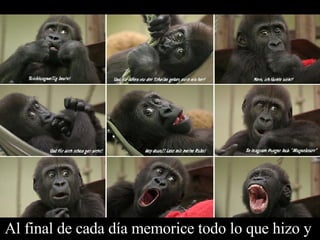 Al final de cada día memorice todo lo que hizo y  