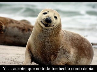 Y…. acepte, que no todo fue hecho como debía. 