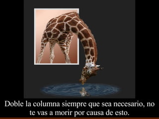 Doble la columna siempre que sea necesario, no te vas a morir por causa de esto. 