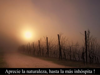 Aprecie la naturaleza, hasta la más inhóspita ! 