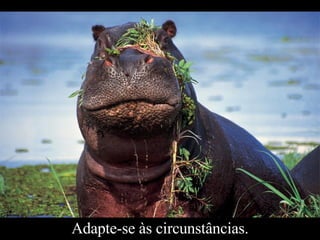 Adapte-se às circunstâncias. 