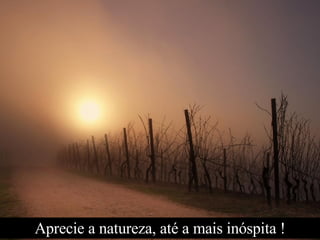 Aprecie a natureza, até a mais inóspita ! 