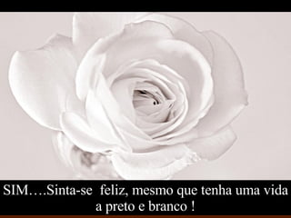 SIM….Sinta-se  feliz, mesmo que tenha uma vida a preto e branco ! 