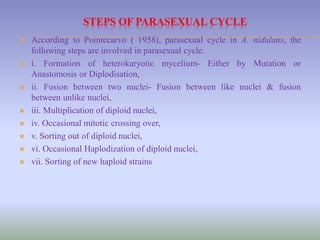 Parasexuality in Fungi | PDF