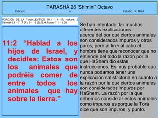 38
PARASHÁ 26 “Shimini” Octavo
Edicion: Regresando a las Raices de la Fe – regresandoalasraicesdelafe@gmail.com Estudio: K. Blad
11:2 “Hablad a los
hijos de Israel, y
decidles: Estos son
los animales que
podréis comer de
entre todos los
animales que hay
sobre la tierra.”
Se han intentado dar muchas
diferentes explicaciones
acerca del por qué ciertos animales
son considerados impuros y otros
puros, pero al fin y al cabo el
hombre tiene que reconocer que no
entiende del todo la razón por la
que HaShem dio estas
instrucciones. Es muy probable que
nunca podamos tener una
explicación satisfactoria en cuanto a
la razón por la que ciertos animales
son considerados impuros por
HaShem. La razón por la que
debemos considerar estos animales
como impuros es porque la Torá
dice que son impuros, y punto.
PORCIÓN DE LA Torah:LEVíTICO 19:1 – 11:47; Haftará: 2
Samuel 6:1 – 7:17 (A); 6:1-19 (S); B.H::Mateo 7:1 – 9:38
 