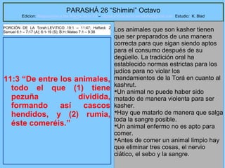 44
PARASHÁ 26 “Shimini” Octavo
Edicion: Regresando a las Raices de la Fe – regresandoalasraicesdelafe@gmail.com Estudio: K. Blad
11:3 “De entre los animales,
todo el que (1) tiene
pezuña dividida,
formando así cascos
hendidos, y (2) rumia,
éste comeréis.”
Los animales que son kasher tienen
que ser preparados de una manera
correcta para que sigan siendo aptos
para el consumo después de su
degüello. La tradición oral ha
establecido normas estrictas para los
judíos para no violar los
mandamientos de la Torá en cuanto al
kashrut.
➔
Un animal no puede haber sido
matado de manera violenta para ser
kasher.
➔
Hay que matarlo de manera que salga
toda la sangre posible.
➔
Un animal enfermo no es apto para
comer.
➔
Antes de comer un animal limpio hay
que eliminar tres cosas, el nervio
ciático, el sebo y la sangre.
PORCIÓN DE LA Torah:LEVíTICO 19:1 – 11:47; Haftará: 2
Samuel 6:1 – 7:17 (A); 6:1-19 (S); B.H::Mateo 7:1 – 9:38
 