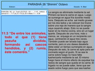 45
PARASHÁ 26 “Shimini” Octavo
Edicion: Regresando a las Raices de la Fe – regresandoalasraicesdelafe@gmail.com Estudio: K. Blad
11:3 “De entre los animales,
todo el que (1) tiene
pezuña dividida,
formando así cascos
hendidos, y (2) rumia,
éste comeréis.”
La sangre es eliminada mediante la sal.
Primero se lava la carne en agua. Luego
se sumerge en agua fría durante media
hora. Después se echa sal medio gruesa
por los dos lados y se colocan los trozos
sobre una reja de manera que la sangre
vaya cayendo abajo. Esto no se puede
hacer en la misma cocina, sino en un lugar
aparte. Después de una hora, más o
menos, se enjuaga en un recipiente con
agua, cambiando el agua tres veces.
También puede ser lavada bajo agua
corriente, pero si uno desea desalarla
debe estar un tiempo sumergida en agua.
Después de esto, la carne es apta para ser
cocinada según el gusto. Si se asa la
carne sobre fuego no hace falta
kasherizarla mediante la sal. El mismo
fuego hace el mismo efecto de expulsar los
restos de sangre que queda en la carne. El
hígado no se puede salar, tiene que ser
asado sobre fuego para que sea kasher.
PORCIÓN DE LA Torah:LEVíTICO 19:1 – 11:47; Haftará: 2
Samuel 6:1 – 7:17 (A); 6:1-19 (S); B.H::Mateo 7:1 – 9:38
 