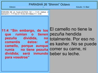 46
PARASHÁ 26 “Shimini” Octavo
Edicion: Regresando a las Raices de la Fe – regresandoalasraicesdelafe@gmail.com Estudio: K. Blad
11:4 “Sin embargo, de los
que rumian o tienen
pezuña dividida, no
comeréis éstos: el
camello, porque aunque
rumia no tiene pezuña
dividida; será inmundo
para vosotros”
El camello no tiene la
pezuña hendida
totalmente. Por eso no
es kasher. No se puede
comer su carne, ni
beber su leche.
PORCIÓN DE LA Torah:LEVíTICO 19:1 – 11:47; Haftará: 2
Samuel 6:1 – 7:17 (A); 6:1-19 (S); B.H::Mateo 7:1 – 9:38
 