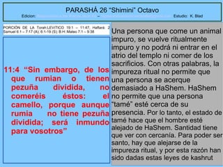 50
PARASHÁ 26 “Shimini” Octavo
Edicion: Regresando a las Raices de la Fe – regresandoalasraicesdelafe@gmail.com Estudio: K. Blad
11:4 “Sin embargo, de los
que rumian o tienen
pezuña dividida, no
comeréis éstos: el
camello, porque aunque
rumia no tiene pezuña
dividida; será inmundo
para vosotros”
Una persona que come un animal
impuro, se vuelve ritualmente
impuro y no podrá ni entrar en el
atrio del templo ni comer de los
sacrificios. Con otras palabras, la
impureza ritual no permite que
una persona se acerque
demasiado a HaShem. HaShem
no permite que una persona
“tamé” esté cerca de su
presencia. Por lo tanto, el estado de
tamé hace que el hombre esté
alejado de HaShem. Santidad tiene
que ver con cercanía. Para poder ser
santo, hay que alejarse de la
impureza ritual, y por esta razón han
sido dadas estas leyes de kashrut
PORCIÓN DE LA Torah:LEVíTICO 19:1 – 11:47; Haftará: 2
Samuel 6:1 – 7:17 (A); 6:1-19 (S); B.H::Mateo 7:1 – 9:38
 