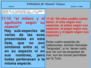 58
PARASHÁ 26 “Shimini” Octavo
Edicion: Regresando a las Raices de la Fe – regresandoalasraicesdelafe@gmail.com Estudio: K. Blad
11:14 “el milano y el
aguilucho según su
especie”
Hay sub-especies de
varias de las aves
presentadas en esta
lista, que no son
similares entre sí, ni
en su aspecto ni en
sus nombres, pero
todas pertenecen a la
misma especie.
11:22 “De ellos podéis comer
éstos: el arbe según sus
especies, el salam según sus
especies, el jargol según sus
especies y el jagab según sus
especies.”
Estas cuatro especies de
saltamontes, también llamadas
“langostas”, si no tienen nada
que ver con las langostas de
mar, son las únicas permitidas
por la Torá,
PORCIÓN DE LA Torah:LEVíTICO 19:1 – 11:47; Haftará: 2
Samuel 6:1 – 7:17 (A); 6:1-19 (S); B.H::Mateo 7:1 – 9:38
 