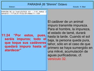 60
PARASHÁ 26 “Shimini” Octavo
Edicion: Regresando a las Raices de la Fe – regresandoalasraicesdelafe@gmail.com Estudio: K. Blad
11:24 “Por estos, pues,
seréis impuros; todo el
que toque sus cadáveres
quedará impuro hasta el
atardecer”
El cadáver de un animal
impuro transmite impureza.
Para el hombre, la impureza,
el estado de tamé, durará
hasta la tarde. Cuando el sol
baja, la persona queda pura,
tahor, sólo en el caso de que
primero se haya sumergido en
una mikvé, acumulación de
aguas purificadoras, cf.
versículo 32.
PORCIÓN DE LA Torah:LEVíTICO 19:1 – 11:47; Haftará: 2
Samuel 6:1 – 7:17 (A); 6:1-19 (S); B.H::Mateo 7:1 – 9:38
 