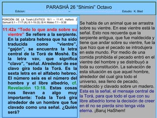 63
PARASHÁ 26 “Shimini” Octavo
Edicion: Regresando a las Raices de la Fe – regresandoalasraicesdelafe@gmail.com Estudio: K. Blad
11:42a “Todo lo que anda sobre su
vientre” Se refiere a la serpiente.
En la palabra hebrea que ha sido
traducida como “vientre”,
“gajón”, se encuentra la letra
central de la Torá de Moshé. Es
la letra vav, que significa
“clavo”, “señal. Alrededor de ese
clavo gira toda la Torá. Es la
sexta letra en el alfabeto hebreo.
El número seis es el número del
hombre y el libre albedrío, cf.
Revelación 13:18. Estas cosas
nos llevan a algo muy
importante: Toda la Torá gira
alrededor de un hombre que fue
clavado como una señal. ¿Quién
será?
Se habla de un animal que se arrastra
sobre su vientre. En ese vientre está la
señal. Esto nos recuerda que la
serpiente antigua, que fue maldecida y
tiene que andar sobre su vientre, fue la
que hizo que el pecado se introdujera
en este mundo. Por medio de una
comida prohibida el pecado entró en el
vientre del hombre y se distribuyó a
toda su constitución. La salvación de
esta situación es que aquel hombre,
alrededor del cual gira todo el
universo, sea lleno de pecado,
maldecido y clavado sobre un madero.
Esta es la señal, el mensaje central de
la Torá, para que todo el que con su
libre albedrío tome la decisión de creer
en él no se pierda sino tenga vida
eterna. ¡Baruj HaShem!
PORCIÓN DE LA Torah:LEVíTICO 19:1 – 11:47; Haftará: 2
Samuel 6:1 – 7:17 (A); 6:1-19 (S); B.H::Mateo 7:1 – 9:38
 