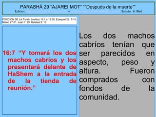 20
PARASHÁ 29 “AJAREI MOT” ““Después de la muerte””
Edicion: Regresando a las Raices de la Fe – regresandoalasraicesdelafe@gmail.com Estudio: K. Blad
16:7 “Y tomará los dos
machos cabríos y los
presentará delante de
HaShem a la entrada
de la tienda de
reunión.”
Los dos machos
cabríos tenían que
ser parecidos en
aspecto, peso y
altura. Fueron
comprados con
fondos de la
comunidad.
PORCIÓN DE LA Torah Levítico 16:1 a 18:30; Ezequiel 22: 1-19
Mateo 27:51; Juan 1: 29; Galatas 3: 13
 