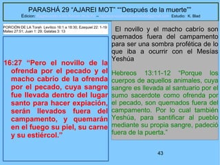 43
PARASHÁ 29 “AJAREI MOT” ““Después de la muerte””
Edicion: Regresando a las Raices de la Fe – regresandoalasraicesdelafe@gmail.com Estudio: K. Blad
16:27 “Pero el novillo de la
ofrenda por el pecado y el
macho cabrío de la ofrenda
por el pecado, cuya sangre
fue llevada dentro del lugar
santo para hacer expiación,
serán llevados fuera del
campamento, y quemarán
en el fuego su piel, su carne
y su estiércol.”
El novillo y el macho cabrío son
quemados fuera del campamento
para ser una sombra profética de lo
que iba a ocurrir con el Mesías
Yeshúa
Hebreos 13:11-12 “Porque los
cuerpos de aquellos animales, cuya
sangre es llevada al santuario por el
sumo sacerdote como ofrenda por
el pecado, son quemados fuera del
campamento. Por lo cual también
Yeshúa, para santificar al pueblo
mediante su propia sangre, padeció
fuera de la puerta.”
PORCIÓN DE LA Torah Levítico 16:1 a 18:30; Ezequiel 22: 1-19
Mateo 27:51; Juan 1: 29; Galatas 3: 13
 