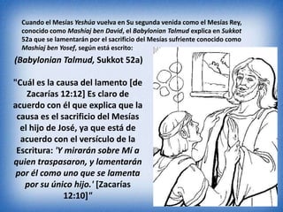 Cuando el Mesías Yeshúa vuelva en Su segunda venida como el Mesías Rey,
  conocido como Mashíaj ben David, el Babylonian Talmud explica en Sukkot
  52a que se lamentarán por el sacrificio del Mesías sufriente conocido como
  Mashíaj ben Yosef, según está escrito:
(Babylonian Talmud, Sukkot 52a)

"Cuál es la causa del lamento [de
    Zacarías 12:12] Es claro de
acuerdo con él que explica que la
 causa es el sacrificio del Mesías
  el hijo de José, ya que está de
  acuerdo con el versículo de la
 Escritura: 'Y mirarán sobre Mí a
quien traspasaron, y lamentarán
 por él como uno que se lamenta
   por su único hijo.' [Zacarías
               12:10]"
 
