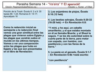 36
Parasha Semana 14 - “Va’eira” Y El apareció!
Edición: RegresandoalasRaices.org – mesianicoscolombia@gmail.com - Estudio: L. Hunter y K Blad
Como la redención inicial es
semejante a la redención final
vemos una gran similitud entre las
plagas que vinieron sobre Egipto y
las plagas que vendrán sobre el
mundo en los últimos tiempos.
Vamos a ver una comparación
entre las plagas que hubo en
Egipto y las que son presentadas
en el libro de Revelación:
Porción de la Torah: Éxodo 6: 2 a 9: 35
Isaías 66: 1-24; Romanos 9: 14-17;
Apocalipsis 16
3. Los enjambres de piojos, Éxodo
8:16 (12 heb)
4. Las bestias salvajes, Éxodo 8:20-32
(16-28 heb) –> En Revelación 6:8:
“Y miré, y he aquí, un caballo
amarillento; y el que estaba montado
en él se llamaba Muerte; y el Sheol lo
seguía. Y se les dio autoridad sobre la
cuarta parte de la tierra, para matar
con espada, con hambre, con
pestilencia y con las fieras de la
tierra.”
5. La peste en el ganado, Éxodo 9:1-7
– En Revelación 6:8b >está escrito:
“con pestilencia”
 