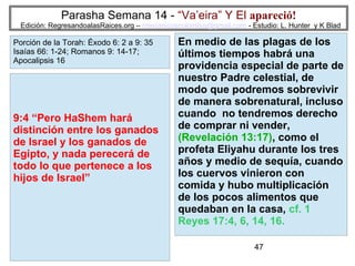 47
Parasha Semana 14 - “Va’eira” Y El apareció!
Edición: RegresandoalasRaices.org – mesianicoscolombia@gmail.com - Estudio: L. Hunter y K Blad
9:4 “Pero HaShem hará
distinción entre los ganados
de Israel y los ganados de
Egipto, y nada perecerá de
todo lo que pertenece a los
hijos de Israel”
Porción de la Torah: Éxodo 6: 2 a 9: 35
Isaías 66: 1-24; Romanos 9: 14-17;
Apocalipsis 16
En medio de las plagas de los
últimos tiempos habrá una
providencia especial de parte de
nuestro Padre celestial, de
modo que podremos sobrevivir
de manera sobrenatural, incluso
cuando no tendremos derecho
de comprar ni vender,
(Revelación 13:17), como el
profeta Eliyahu durante los tres
años y medio de sequía, cuando
los cuervos vinieron con
comida y hubo multiplicación
de los pocos alimentos que
quedaban en la casa, cf. 1
Reyes 17:4, 6, 14, 16.
 