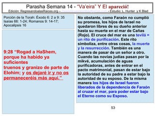 53
Parasha Semana 14 - “Va’eira” Y El apareció!
Edición: RegresandoalasRaices.org – mesianicoscolombia@gmail.com - Estudio: L. Hunter y K Blad
9:28 “Rogad a HaShem,
porque ha habido ya
suficientes
truenos y granizo de parte de
Elohim; y os dejaré ir y no os
permaneceréis más aquí.”
Porción de la Torah: Éxodo 6: 2 a 9: 35
Isaías 66: 1-24; Romanos 9: 14-17;
Apocalipsis 16
No obstante, como Faraón no cumplió
su promesa, los hijos de Israel no
quedaron libres de su dueño anterior
hasta su muerte en el mar de Cañas
(Rojo). El cruce del mar es una tevilá =
un rito de purificación. Este rito
simboliza, entre otras cosas, la muerte
y la resurrección. También es una
manera de pasar de un señor a otro.
Cuando las novias judías pasan por la
mikvé, acumulación de aguas
purificadoras, antes de entrar en el
pacto matrimonial, pasan de estar bajo
la autoridad de su padre a estar bajo la
autoridad de su esposo. De la misma
manera los hijos de Israel fueron
liberados de la dependencia de Faraón
al cruzar el mar, para poder estar bajo
el Eterno como su Esposo.
 