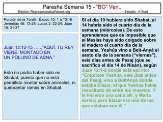 26
Parasha Semana 15 - “BO” Ven..
Edición: RegresandoalasRaices.org – mesianicoscolombia@gmail.com - Estudio: K Blad
Si el día 10 hubiera sido Shabat, el
14 habría sido el cuarto día de la
semana (miércoles). De esto
aprendemos que es imposible que
el Mesías haya sido colgado sobre
el madero el cuarto día de la
semana. Yeshúa vino a Beit-Anyá el
sexto día de la semana (“viernes”),
seis días antes de Pesaj (que se
sacrificó el día 14 de Nisán), según
Juan 12:1-2 donde está escrito:
“Entonces Yeshúa, seis días antes
del Pesaj, vino a BeitAnyá donde
estaba Elazar, al que Yeshúa había
resucitado de entre los muertos. Y
le hicieron una cena allí, y Marta
servía; pero Elazar era uno de los
que estaban con él.”
Juan 12:12-15 …...”AQUÍ, TU REY
VIENE, MONTADO EN
UN POLLINO DE ASNA.”
Esto no podía haber sido en
Shabat, puesto que no está
permitido montar sobre animales, ni
quebrantar ramas en Shabat.
Porción de la Torah: Éxodo 10: 1 a 13:16
Jeremías 46: 13-28; Lucas 2: 22-24; Juan
19: 31-37
 