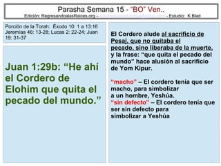 29
Parasha Semana 15 - “BO” Ven..
Edición: RegresandoalasRaices.org – mesianicoscolombia@gmail.com - Estudio: K Blad
El Cordero alude al sacrificio de
Pesaj, que no quitaba el
pecado, sino liberaba de la muerte,
y la frase: “que quita el pecado del
mundo” hace alusión al sacrificio
de Yom Kipur.
“macho” – El cordero tenía que ser
macho, para simbolizar
a un hombre, Yeshúa.
“sin defecto” – El cordero tenía que
ser sin defecto para
simbolizar a Yeshúa
Juan 1:29b: “He ahí
el Cordero de
Elohim que quita el
pecado del mundo.”
Porción de la Torah: Éxodo 10: 1 a 13:16
Jeremías 46: 13-28; Lucas 2: 22-24; Juan
19: 31-37
 
