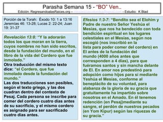 31
Parasha Semana 15 - “BO” Ven..
Edición: RegresandoalasRaices.org – mesianicoscolombia@gmail.com - Estudio: K Blad
Efesios 1:3-7: “Bendito sea el Elohim y
Padre de nuestro Señor Yeshúa el
Mesías, que nos ha bendecido con toda
bendición espiritual en los lugares
celestiales en el Mesías, según nos
escogió (nos inscribió en la
lista para poder comer del cordero) en
El antes de la fundación del
mundo (4000 años antes que
corresponden a 4 días), para que
fuéramos santos y sin mancha delante
de El. En amor nos predestinó para
adopción como hijos para sí mediante
Yeshúa el Mesías, conforme al
beneplácito de su voluntad, para
alabanza de la gloria de su gracia que
gratuitamente ha impartido sobre
nosotros en el Amado. En él tenemos
redención (en Pesaj)mediante su
sangre, el perdón de nuestros pecados
(en Yom Kipur) según las riquezas de
su gracia.”
Revelación 13:8: “Y la adorarán
todos los que moran en la tierra,
cuyos nombres no han sido escritos,
desde la fundación del mundo, en el
libro de la vida del Cordero que fue
inmolado.”
Otra traducción del mismo texto
dice: “el Cordero, que fue
inmolado desde la fundación del
mundo.”
Las dos traducciones son posibles,
según el texto griego, y las dos
cuadran dentro del contexto de
Pesaj. Cada persona se inscribe para
comer del cordero cuatro días antes
de su sacrificio, y el mismo cordero
es asignado para ser sacrificado
cuatro días antes.
Porción de la Torah: Éxodo 10: 1 a 13:16
Jeremías 46: 13-28; Lucas 2: 22-24; Juan
19: 31-37
 