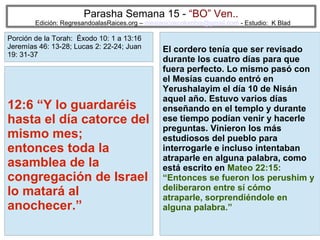 32
Parasha Semana 15 - “BO” Ven..
Edición: RegresandoalasRaices.org – mesianicoscolombia@gmail.com - Estudio: K Blad
El cordero tenía que ser revisado
durante los cuatro días para que
fuera perfecto. Lo mismo pasó con
el Mesías cuando entró en
Yerushalayim el día 10 de Nisán
aquel año. Estuvo varios días
enseñando en el templo y durante
ese tiempo podían venir y hacerle
preguntas. Vinieron los más
estudiosos del pueblo para
interrogarle e incluso intentaban
atraparle en alguna palabra, como
está escrito en Mateo 22:15:
“Entonces se fueron los perushim y
deliberaron entre sí cómo
atraparle, sorprendiéndole en
alguna palabra.”
12:6 “Y lo guardaréis
hasta el día catorce del
mismo mes;
entonces toda la
asamblea de la
congregación de Israel
lo matará al
anochecer.”
Porción de la Torah: Éxodo 10: 1 a 13:16
Jeremías 46: 13-28; Lucas 2: 22-24; Juan
19: 31-37
 