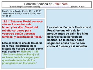 63
Parasha Semana 15 - “BO” Ven..
Edición: RegresandoalasRaices.org – mesianicoscolombia@gmail.com - Estudio: K Blad
La celebración de la fiesta con el
Pesaj fue una obra de fe,
porque antes de salir, los hijos
de Israel ya celebraron su
libertad. La fe habla y actúa
según las cosas que no son
como si fuesen y así suceden.
12:21 “Entonces Moshé convocó
a todos los ancianos de
Israel, y les dijo: Sacad del
rebaño corderos para
vosotros según vuestras
familias, y sacrificad el Pesaj.”
Esto constituye una de las obras
de fe más importantes de la
historia de nuestro pueblo, como
está escrito en Hebreos 11:28:
“Por la fe celebró el Pesaj y el
rociamiento de la sangre, para
que el exterminador de los
primogénitos no los tocara.”
Porción de la Torah: Éxodo 10: 1 a 13:16
Jeremías 46: 13-28; Lucas 2: 22-24; Juan
19: 31-37
 