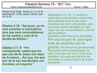 71
Parasha Semana 15 - “BO” Ven..
Edición: RegresandoalasRaices.org – mesianicoscolombia@gmail.com - Estudio: K Blad
Romanos 4:11, 16: “y recibió la
señal de la circuncisión como sello
de la justicia de la fe que tenía
mientras aún era incircunciso, para
que fuera padre de todos los que
creen sin ser circuncidados, a fin de
que la justicia
también a ellos les fuera imputada...
Por eso es por fe, para que
esté de acuerdo con la
gracia, a fin de que la promesa sea
firme para toda la posteridad, no
sólo a los que son de la Torá, sino
también a los que son de la fe de
Avraham, el cual es padre de todos
nosotros”
Efesios 2:19: “Así pues, ya no
sois extraños ni extranjeros,
sino que sois conciudadanos
de los santos y sois de la
familia de Elohim.”
Gálatas 3:7, 9: “Por
consiguiente, sabed que los
que son de fe, éstos son hijos
de Avraham... Así que, los que
son de fe son bendecidos con
Avraham, el creyente.”
Porción de la Torah: Éxodo 10: 1 a 13:16
Jeremías 46: 13-28; Lucas 2: 22-24; Juan
19: 31-37
 