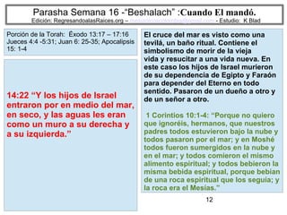 12
Parasha Semana 16 -“Beshalach” :Cuando El mandó.
Edición: RegresandoalasRaices.org – mesianicoscolombia@gmail.com - Estudio: K Blad
El cruce del mar es visto como una
tevilá, un baño ritual. Contiene el
simbolismo de morir de la vieja
vida y resucitar a una vida nueva. En
este caso los hijos de Israel murieron
de su dependencia de Egipto y Faraón
para depender del Eterno en todo
sentido. Pasaron de un dueño a otro y
de un señor a otro.
1 Corintios 10:1-4: “Porque no quiero
que ignoréis, hermanos, que nuestros
padres todos estuvieron bajo la nube y
todos pasaron por el mar; y en Moshé
todos fueron sumergidos en la nube y
en el mar; y todos comieron el mismo
alimento espiritual; y todos bebieron la
misma bebida espiritual, porque bebían
de una roca espiritual que los seguía; y
la roca era el Mesías.”
14:22 “Y los hijos de Israel
entraron por en medio del mar,
en seco, y las aguas les eran
como un muro a su derecha y
a su izquierda.”
Porción de la Torah: Éxodo 13:17 – 17:16
Jueces 4:4 -5:31; Juan 6: 25-35; Apocalipsis
15: 1-4
 