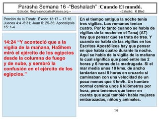14
Parasha Semana 16 -“Beshalach” :Cuando El mandó.
Edición: RegresandoalasRaices.org – mesianicoscolombia@gmail.com - Estudio: K Blad
En el tiempo antiguo la noche tenía
tres vigilias. Los romanos tenían
cuatro. Por lo tanto cuando se habla de
vigilias de la noche en el Tanaj (AT)
hay que pensar que se trata de tres. Y
cuando se habla de las vigilias en los
Escritos Apostólicos hay que pensar
en que había cuatro durante la noche.
Aquí se habla de la vigilia de la mañana
lo cual significa que pasó entre las 2
horas y 6 horas de la madrugada. Si el
mar medía unos 18 kms. de ancho
tardarían casi 5 horas en cruzarlo si
caminaban con una velocidad de un
poco menos que 4 km/h. Un hombre
normal camina unos 6 kilómetros por
hora, pero tenemos que tener en
cuenta que aquí también había mujeres
embarazadas, niños y animales.
14:24 “Y aconteció que a la
vigilia de la mañana, HaShem
miró el ejército de los egipcios
desde la columna de fuego
y de nube, y sembró la
confusión en el ejército de los
egipcios.”
Porción de la Torah: Éxodo 13:17 – 17:16
Jueces 4:4 -5:31; Juan 6: 25-35; Apocalipsis
15: 1-4
 