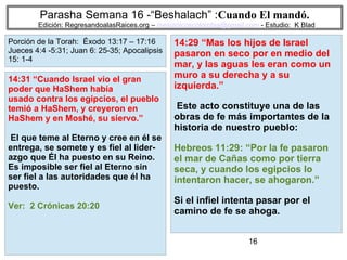 16
Parasha Semana 16 -“Beshalach” :Cuando El mandó.
Edición: RegresandoalasRaices.org – mesianicoscolombia@gmail.com - Estudio: K Blad
14:29 “Mas los hijos de Israel
pasaron en seco por en medio del
mar, y las aguas les eran como un
muro a su derecha y a su
izquierda.”
Este acto constituye una de las
obras de fe más importantes de la
historia de nuestro pueblo:
Hebreos 11:29: “Por la fe pasaron
el mar de Cañas como por tierra
seca, y cuando los egipcios lo
intentaron hacer, se ahogaron.”
Si el infiel intenta pasar por el
camino de fe se ahoga.
14:31 “Cuando Israel vio el gran
poder que HaShem había
usado contra los egipcios, el pueblo
temió a HaShem, y creyeron en
HaShem y en Moshé, su siervo.”
El que teme al Eterno y cree en él se
entrega, se somete y es fiel al lider-
azgo que Él ha puesto en su Reino.
Es imposible ser fiel al Eterno sin
ser fiel a las autoridades que él ha
puesto.
Ver: 2 Crónicas 20:20
Porción de la Torah: Éxodo 13:17 – 17:16
Jueces 4:4 -5:31; Juan 6: 25-35; Apocalipsis
15: 1-4
 